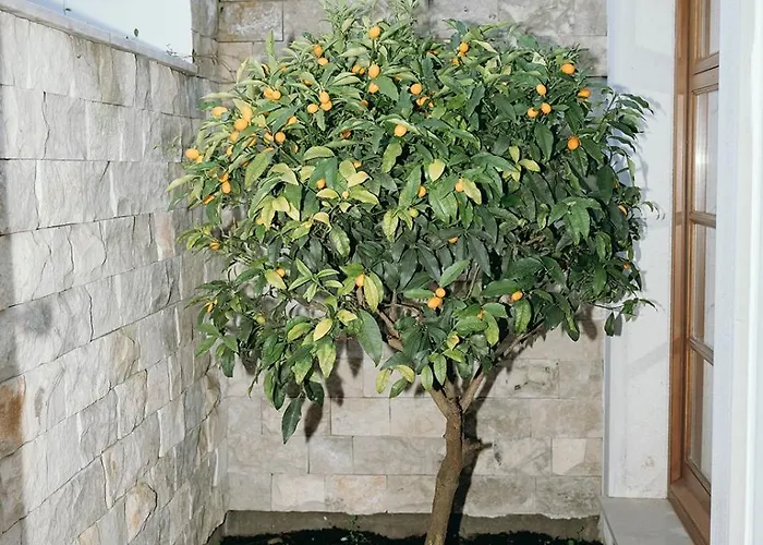 Eleven, Boutique Luxury House & Garden Bed & Breakfast