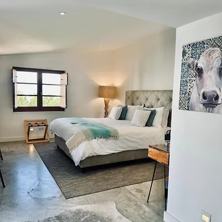 Eleven, Boutique Luxury House & Garden 4*